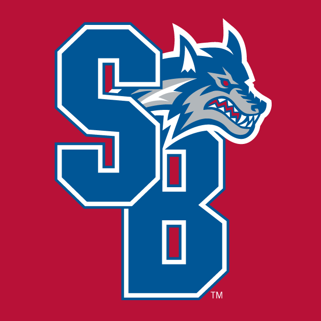 Stony Brook Seawolves 2008-Pres Alternate Logo t shirts DIY iron ons v4